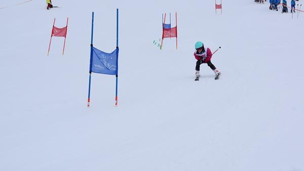 Normal x DSC 0830 (2)